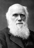 Charles Darwin (1809-1882). Naturalista británico.